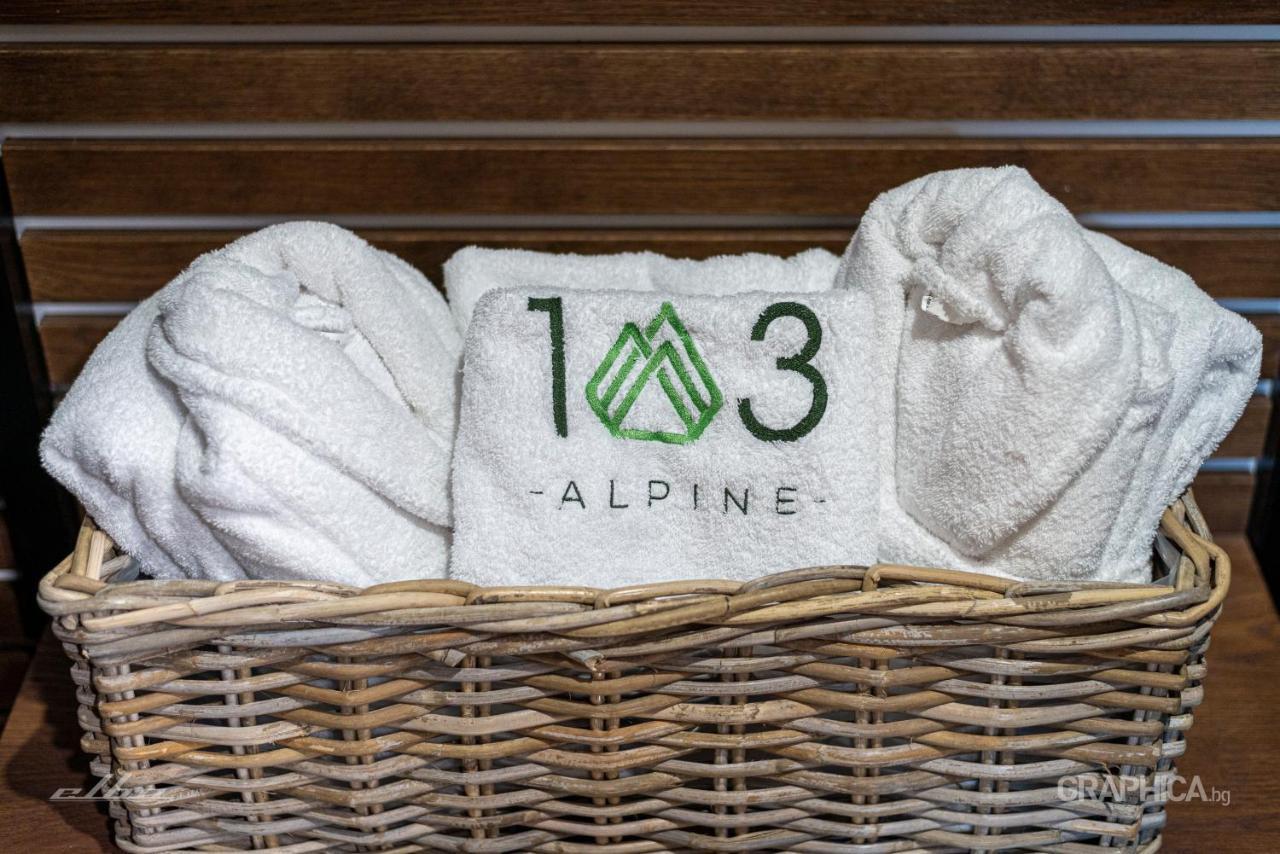 103 Alpine Hotel Panichishte Exteriör bild